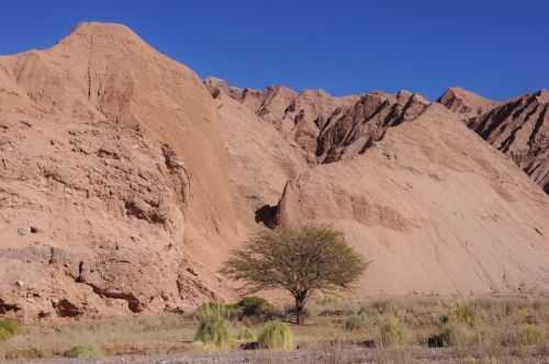 TREKKING NEL DESERTO DI ATACAMA 2015